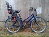 Azurfalke 2, 28'-zoll, Damen Trekking Bike, Tourenrad, aufrechte Sitzposition, Trapez*  Rahmen