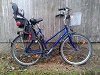 Kobaltfalke 2, 28'-zoll, Damen Trekking Bike, Tourenrad, aufrechte Sitzposition, Trapez*  Rahmen