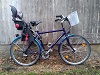Lapislazulifalke, 28'-zoll, Herren Trekking Bike, Tourenrad, aufrechte Sitzposition, Diamant*  Rahmen