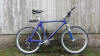 "Blautayra" Mountain Bike mit Federgabel,  Rahmen aus Fieberglas, Rahmenhöhr 55