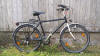 Streifenmink im preiswerten Fahrrad Abo
