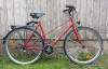 Roetelfalke im preiswerten Fahrrad Abo