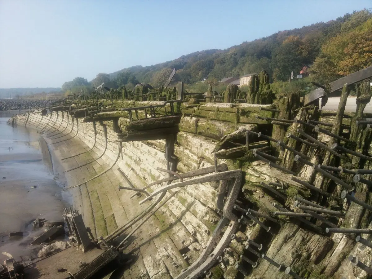 Blick in ein vermoostes Schiffswrack bei Blankenese
