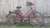 Rote Sportrad, Mixte* Rahmen, 21- Gang Schaltung, Gelsattel, 37-er Reifenbreite, Rahmenhöhen 53